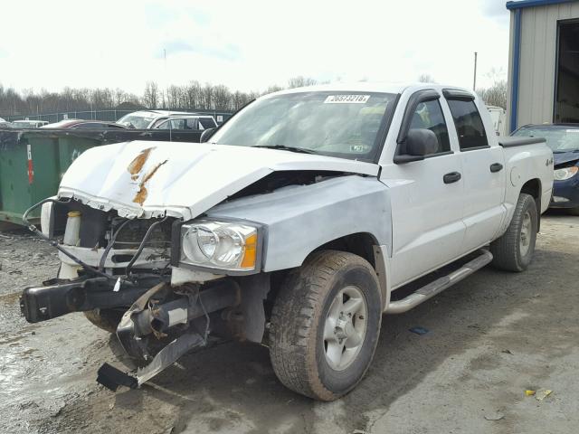 1D7HW48N35S168905 - 2005 DODGE DAKOTA QUA WHITE photo 2