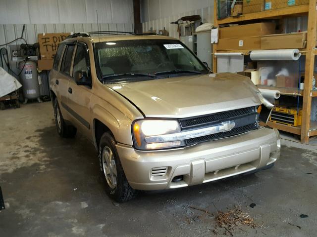 1GNDT13S052361663 - 2005 CHEVROLET TRAILBLAZE GOLD photo 1