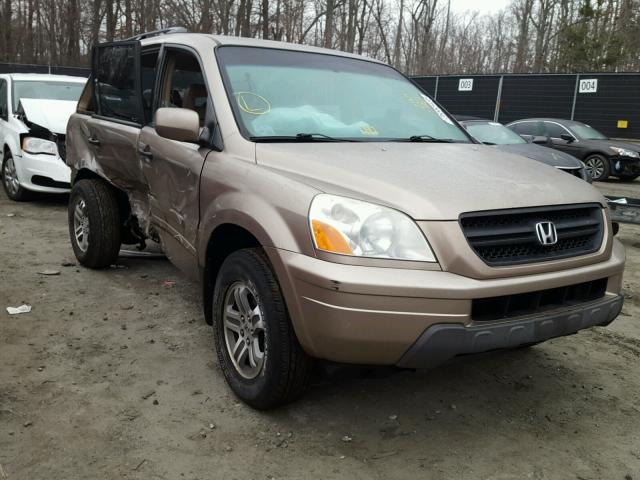 2HKYF18504H501177 - 2004 HONDA PILOT EXL GOLD photo 1