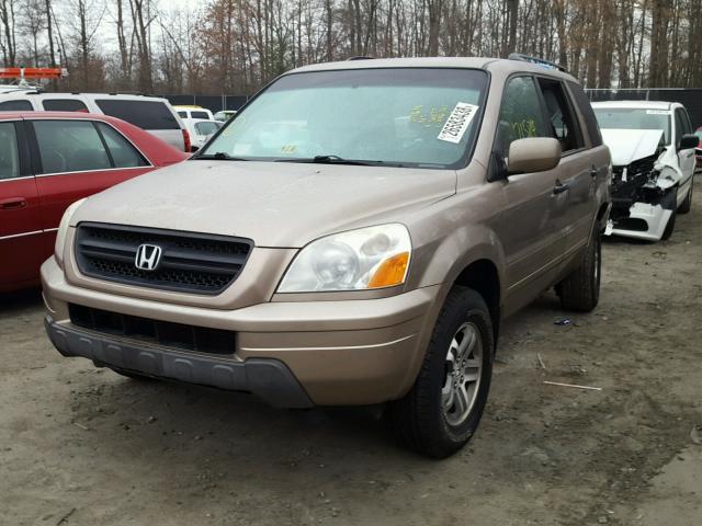 2HKYF18504H501177 - 2004 HONDA PILOT EXL GOLD photo 2