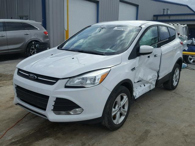 1FMCU0G72GUC61116 - 2016 FORD ESCAPE SE WHITE photo 2