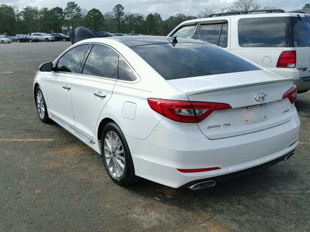 5NPE34AF3FH037692 - 2015 HYUNDAI SONATA SPO WHITE photo 3