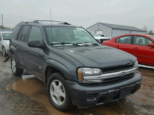 1GNDT13S362350934 - 2006 CHEVROLET TRAILBLAZE GRAY photo 1