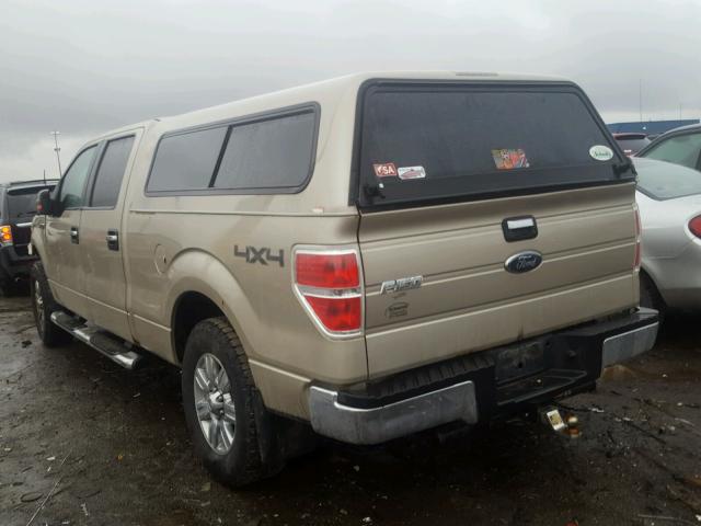 1FTRW14899FB23088 - 2009 FORD F150 SUPER TAN photo 3