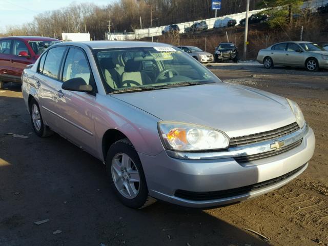 1G1ZT54875F330842 - 2005 CHEVROLET MALIBU LS SILVER photo 1