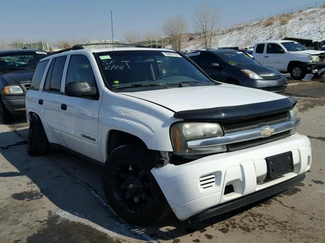 1GNDT13S022465811 - 2002 CHEVROLET TRAILBLAZE WHITE photo 1