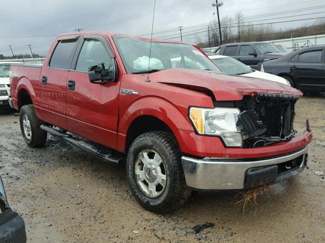 1FTEW1E83AFB27140 - 2010 FORD F150 SUPER RED photo 1