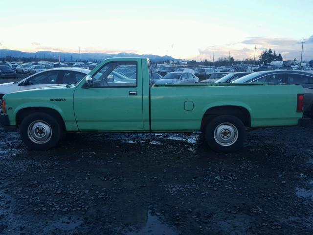 1B7GL26X7KS127650 - 1989 DODGE DAKOTA GREEN photo 9