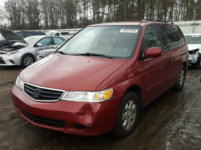 5FNRL18963B063276 - 2003 HONDA ODYSSEY EX RED photo 2