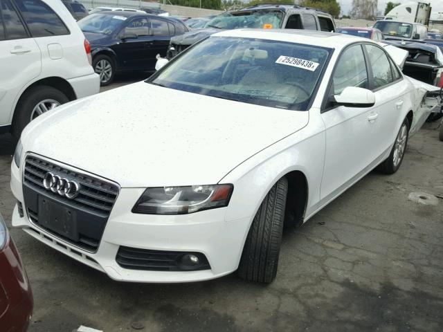 WAUAFAFLXBN042088 - 2011 AUDI A4 PREMIUM WHITE photo 2