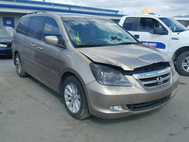 5FNRL38855B067888 - 2005 HONDA ODYSSEY TO GOLD photo 1