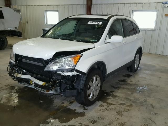 JHLRE48707C039345 - 2007 HONDA CR-V EXL WHITE photo 2