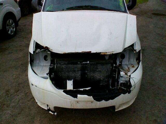 1D4GP24R06B633502 - 2006 DODGE GRAND CARA WHITE photo 7