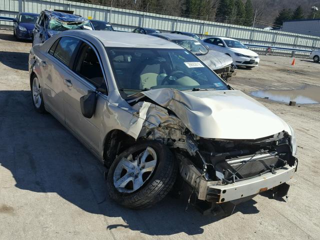 1G1ZB5EB8AF144461 - 2010 CHEVROLET MALIBU LS ოქროსფერი ფოტო 1