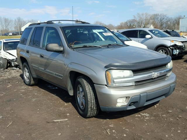 1GNDT13S822118663 - 2002 CHEVROLET TRAILBLAZE TAN photo 1