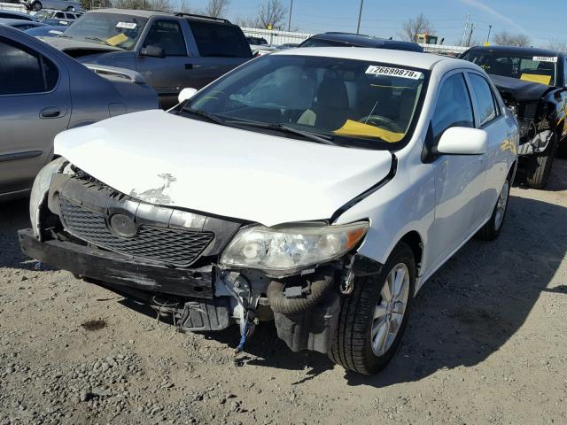 1NXBU4EE1AZ368248 - 2010 TOYOTA COROLLA BA WHITE photo 2