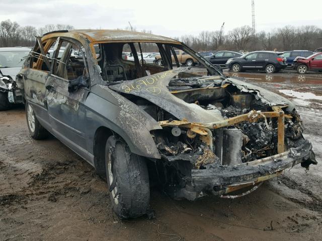 2C4GM48L65R265625 - 2005 CHRYSLER PACIFICA BURN photo 1