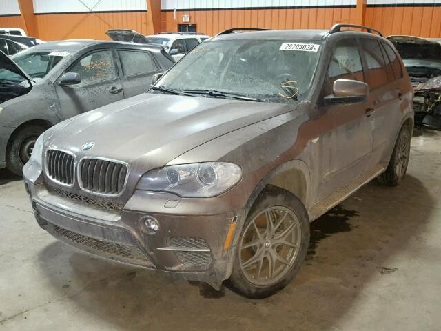 5UXZV4C51D0B14099 - 2013 BMW X5 XDRIVE3 GOLD photo 2