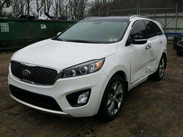 5XYPKDA52GG095790 - 2016 KIA SORENTO SX WHITE photo 2