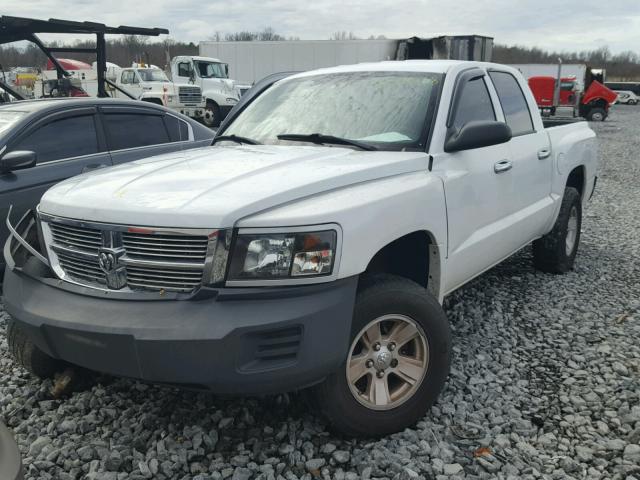 1D3HW38N38S581651 - 2008 DODGE DAKOTA SXT WHITE photo 2