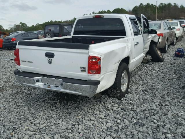 1D3HW38N38S581651 - 2008 DODGE DAKOTA SXT WHITE photo 4