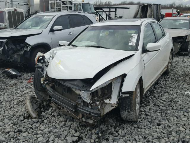 1HGCP26849A100578 - 2009 HONDA ACCORD EXL WHITE photo 2