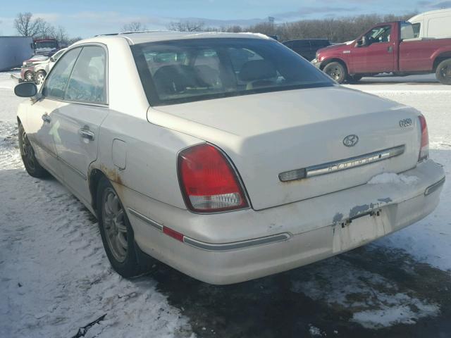 KMHFU45E52A210693 - 2002 HYUNDAI XG 350 WHITE photo 3