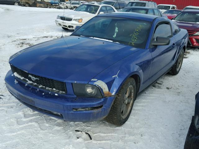 1ZVFT80N555128589 - 2005 FORD MUSTANG BLUE photo 2