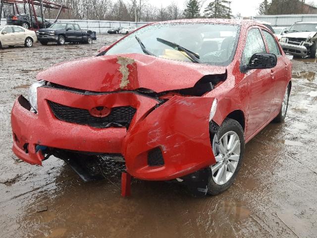 2T1BU40E79C035749 - 2009 TOYOTA COROLLA BA RED photo 2