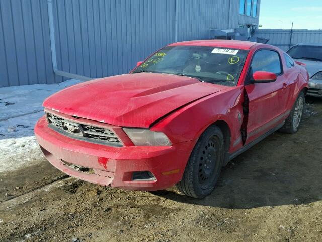 1ZVBP8AMXC5211764 - 2012 FORD MUSTANG RED photo 2