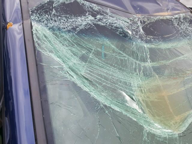 1HGFA16876L093120 - 2006 HONDA CIVIC EX ლურჯი ფოტო 9