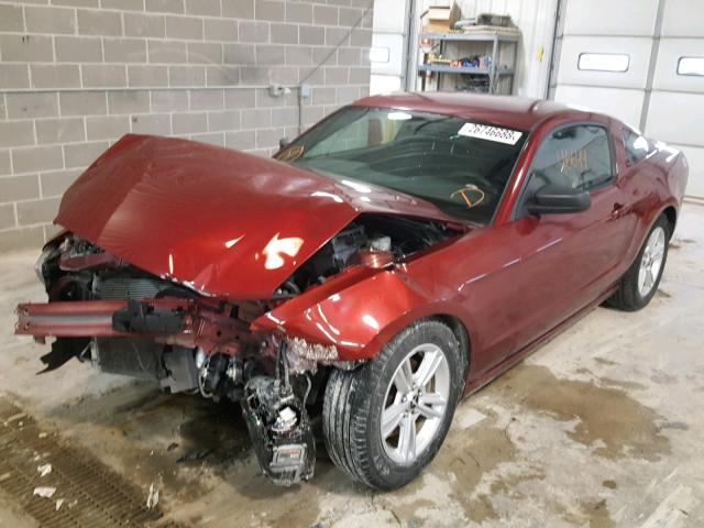 1ZVBP8AM1E5284699 - 2014 FORD MUSTANG RED photo 2