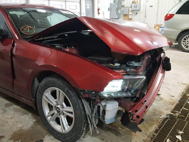 1ZVBP8AM1E5284699 - 2014 FORD MUSTANG RED photo 9