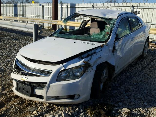 1G1ZG57B49F224186 - 2009 CHEVROLET MALIBU LS თეთრი ფოტო 2