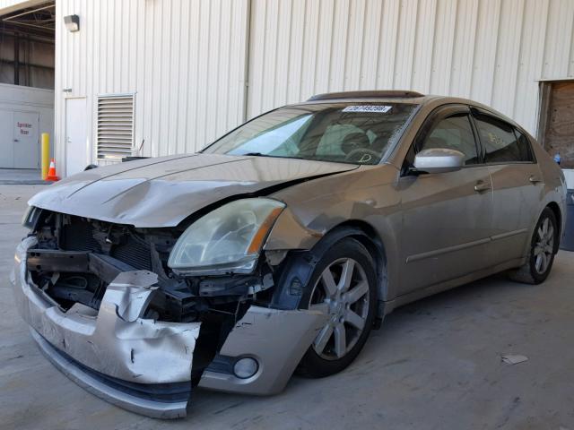 1N4BA41E05C874271 - 2005 NISSAN MAXIMA SE GOLD photo 2