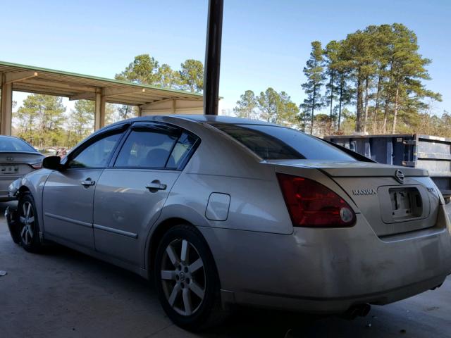 1N4BA41E05C874271 - 2005 NISSAN MAXIMA SE GOLD photo 3