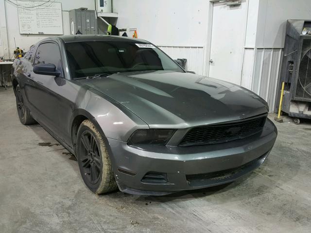 1ZVBP8AN9A5132656 - 2010 FORD MUSTANG GRAY photo 1