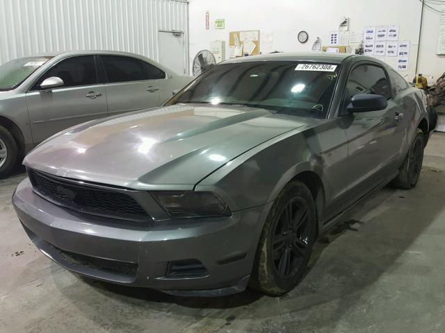 1ZVBP8AN9A5132656 - 2010 FORD MUSTANG GRAY photo 2