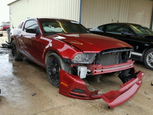 1ZVBP8AM0E5321063 - 2014 FORD MUSTANG RED photo 1
