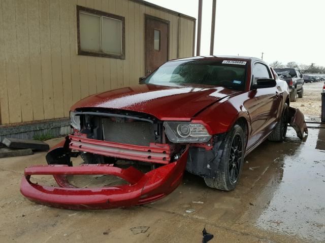 1ZVBP8AM0E5321063 - 2014 FORD MUSTANG RED photo 2