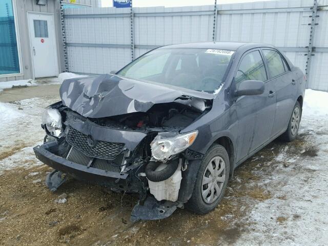 2T1BU40E69C088197 - 2009 TOYOTA COROLLA BA GRAY photo 2