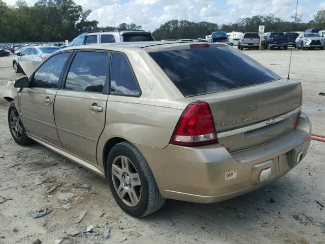 1G1ZT63866F244172 - 2006 CHEVROLET MALIBU MAX 金色 照片 3