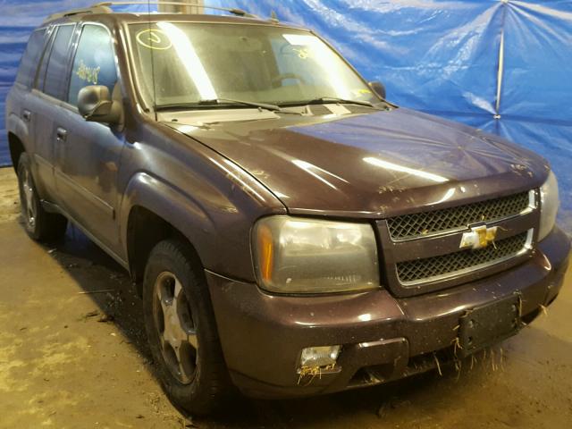 1GNDT13S282167267 - 2008 CHEVROLET TRAILBLAZE PURPLE photo 1