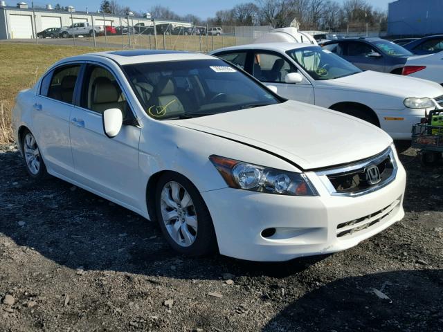 1HGCP3F86AA008706 - 2010 HONDA ACCORD EXL WHITE photo 1