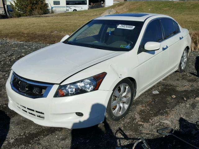 1HGCP3F86AA008706 - 2010 HONDA ACCORD EXL WHITE photo 2