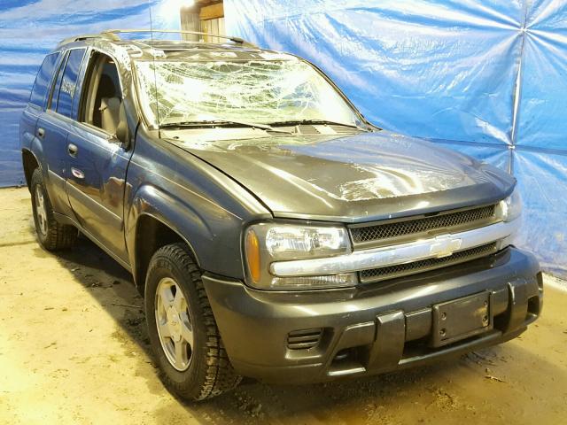 1GNDT13S652256898 - 2005 CHEVROLET TRAILBLAZE GRAY photo 1