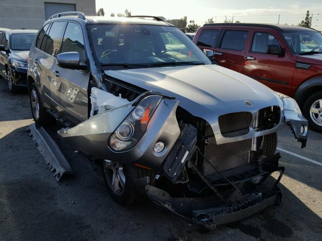 5UXFE43539L263488 - 2009 BMW X5 XDRIVE3 GRAY photo 1