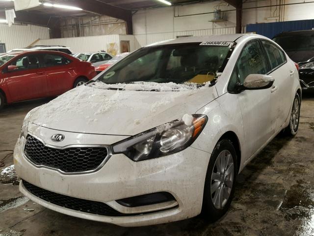 KNAFX4A67G5552900 - 2016 KIA FORTE LX WHITE photo 2