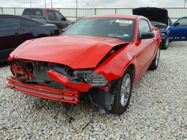 1ZVBP8AM1D5207717 - 2013 FORD MUSTANG RED photo 2