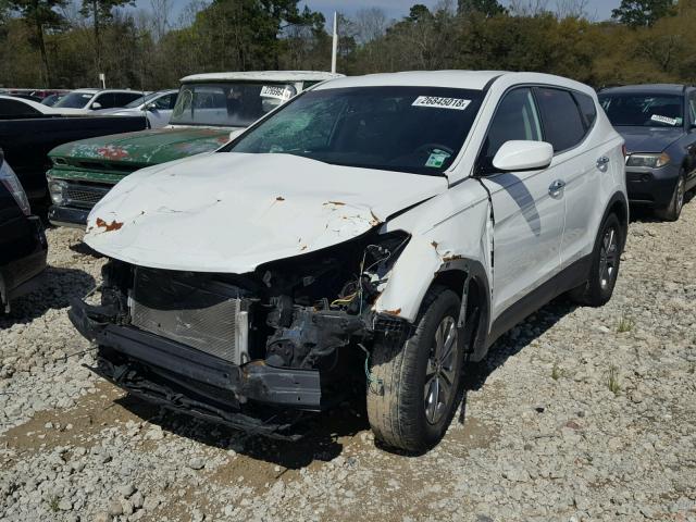 5XYZT3LB7DG024244 - 2013 HYUNDAI SANTA FE S WHITE photo 2